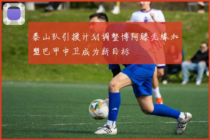 泰山队引援计划调整博阿滕无缘加盟巴甲中卫成为新目标