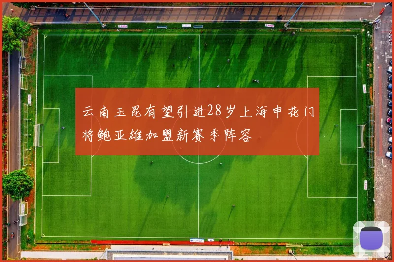 云南玉昆有望引进28岁上海申花门将鲍亚雄加盟新赛季阵容