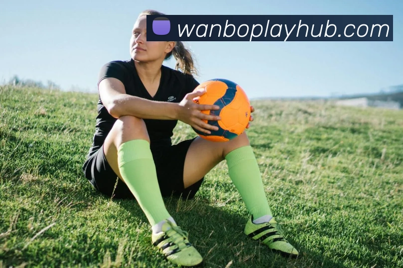 万博体育平台生态图